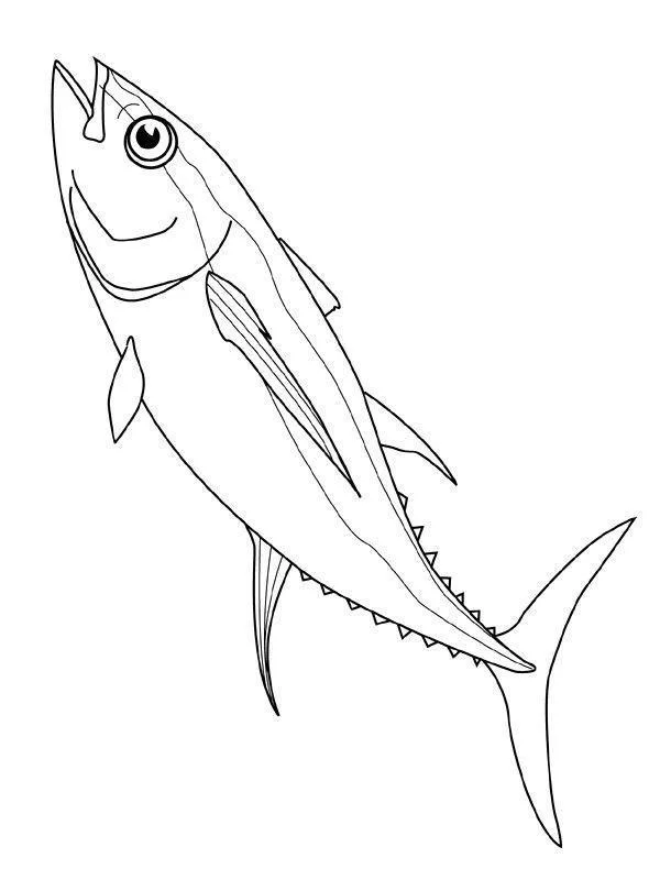Peixes