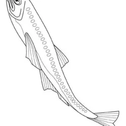 Peixes para imprimir e colorir