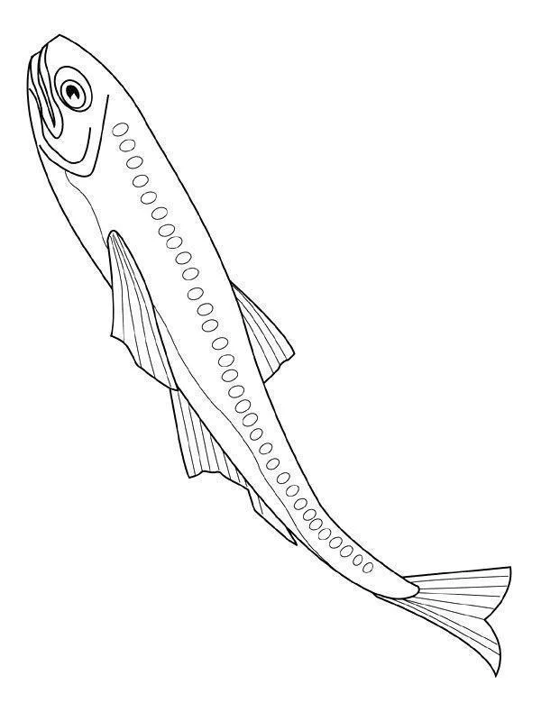 Peixes