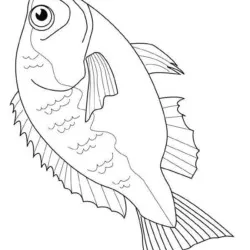 Peixes para imprimir e colorir