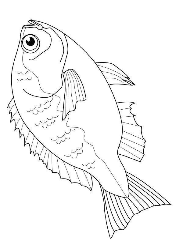 Peixes