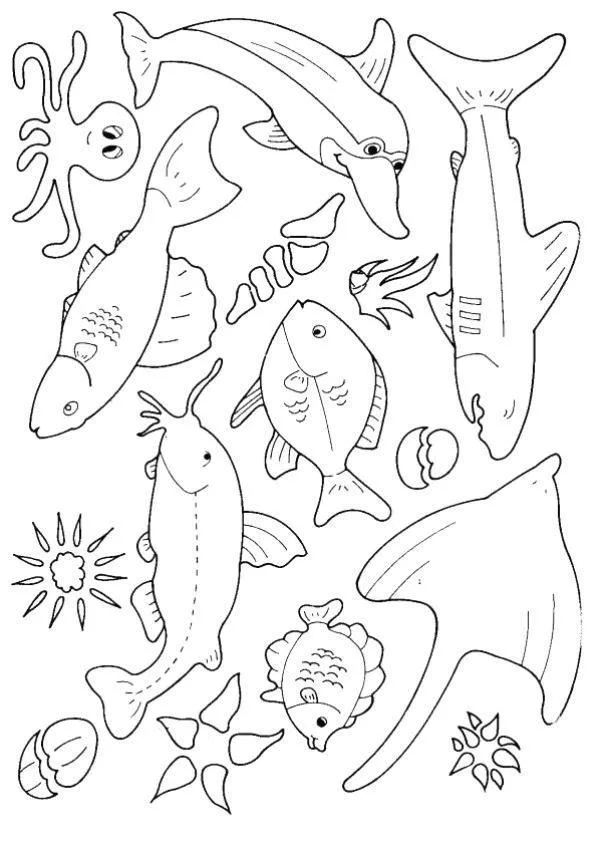 Peixes