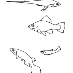 Peixes para imprimir e colorir