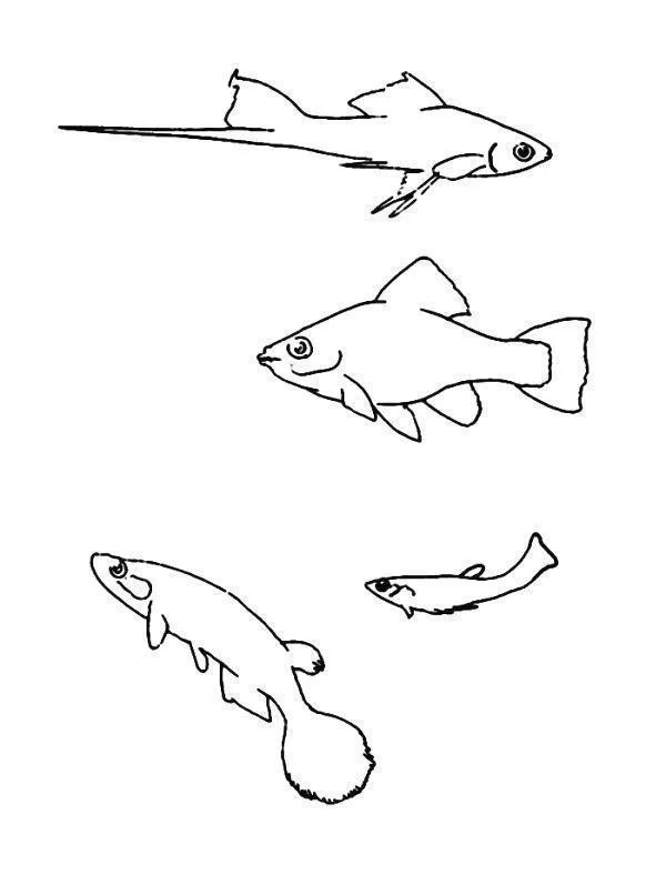 Peixes