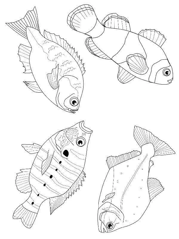 Peixes