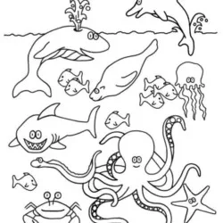 Peixes para imprimir e colorir
