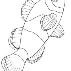 Desenhos para Pintar: Desenhos de Peixes para Colorir Online.