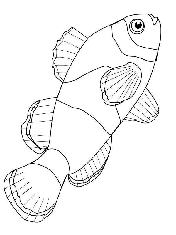 Peixes