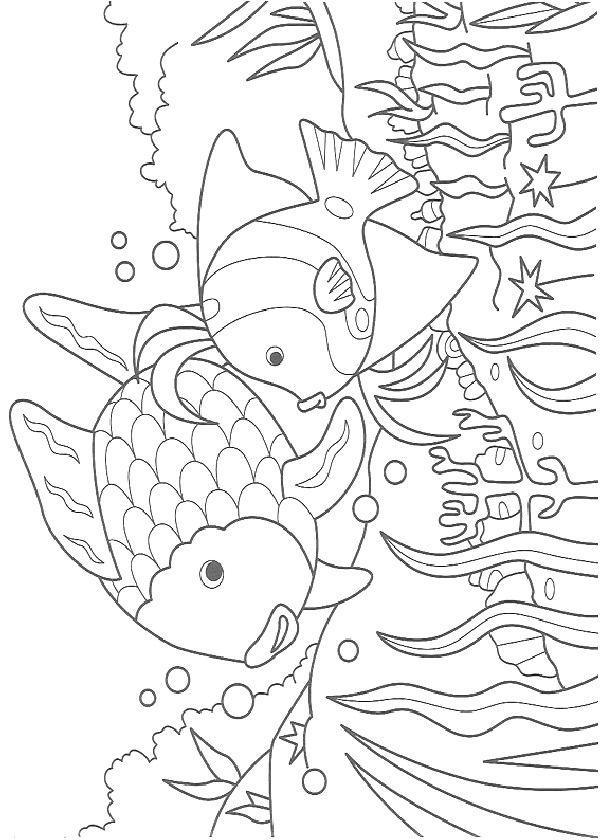 desenhos-peixes-imprimir17.jpg