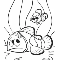 Procurando Nemo para imprimir e colorir