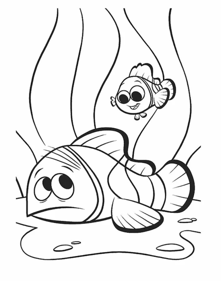 Procurando Nemo
