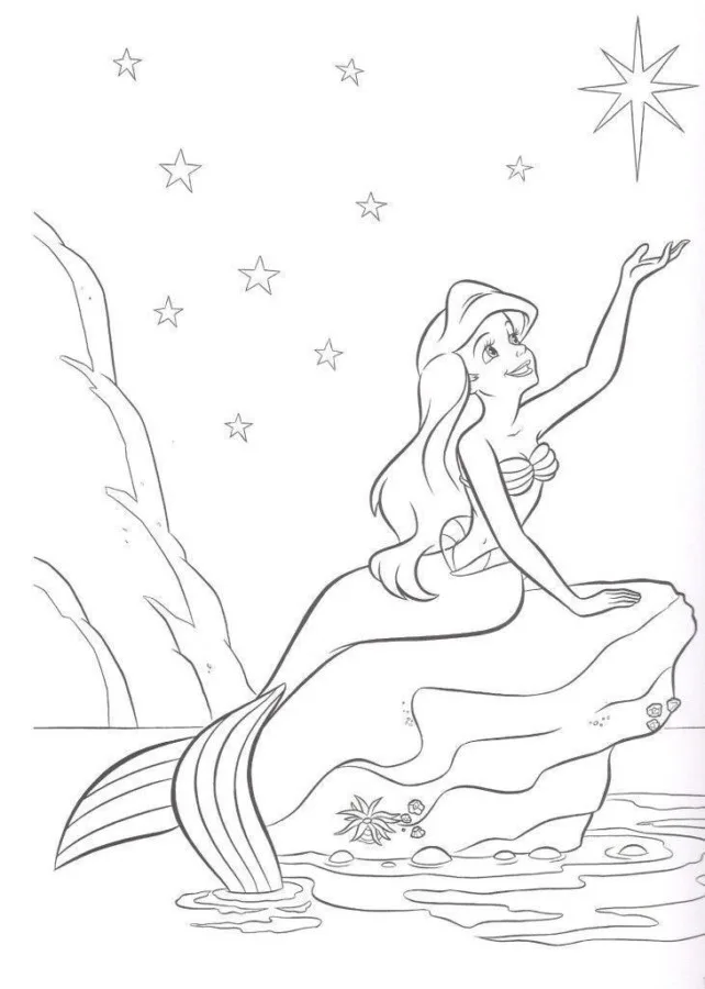 Ariel