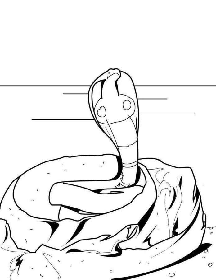 Cobras