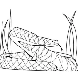 Cobras para imprimir e colorir
