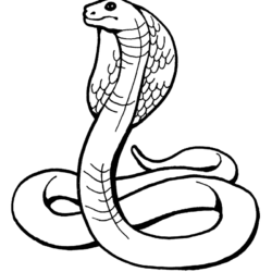 Cobra sorrindo para colorir - Imprimir Desenhos