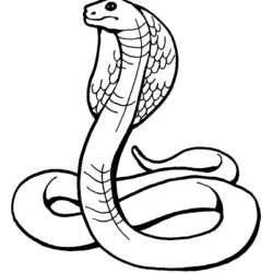 Cobras para imprimir e colorir