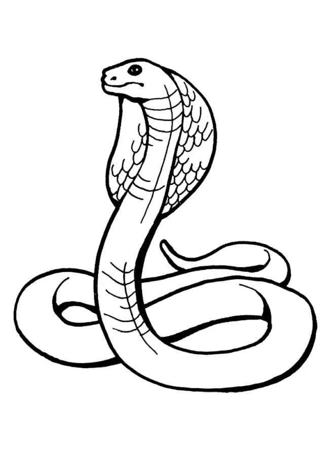 Cobras