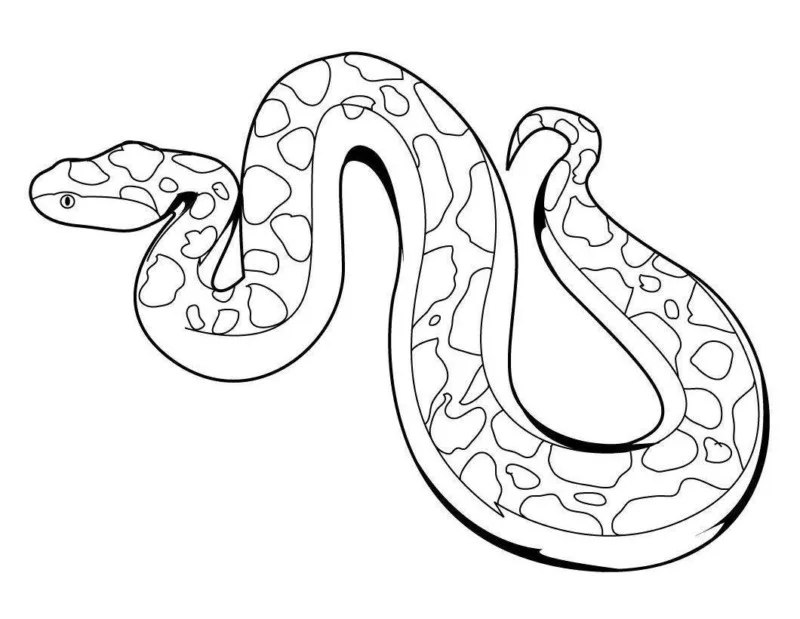 Cobras