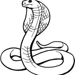 Desenhos de Cobra para colorir - Bora Colorir