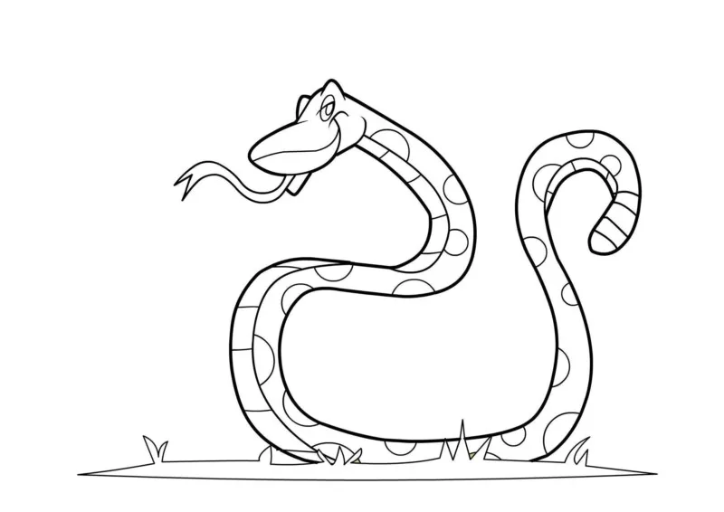 Cobras