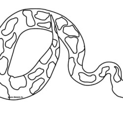 Desenho de cobra para colorir  Desenhos para colorir e imprimir