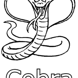 Desenhos de Cobra para colorir - Páginas para impressão grátis