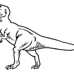 40 desenhos de dinossauros para colorir, pintar, imprimir! Dinossauro pintar  moldes e riscos