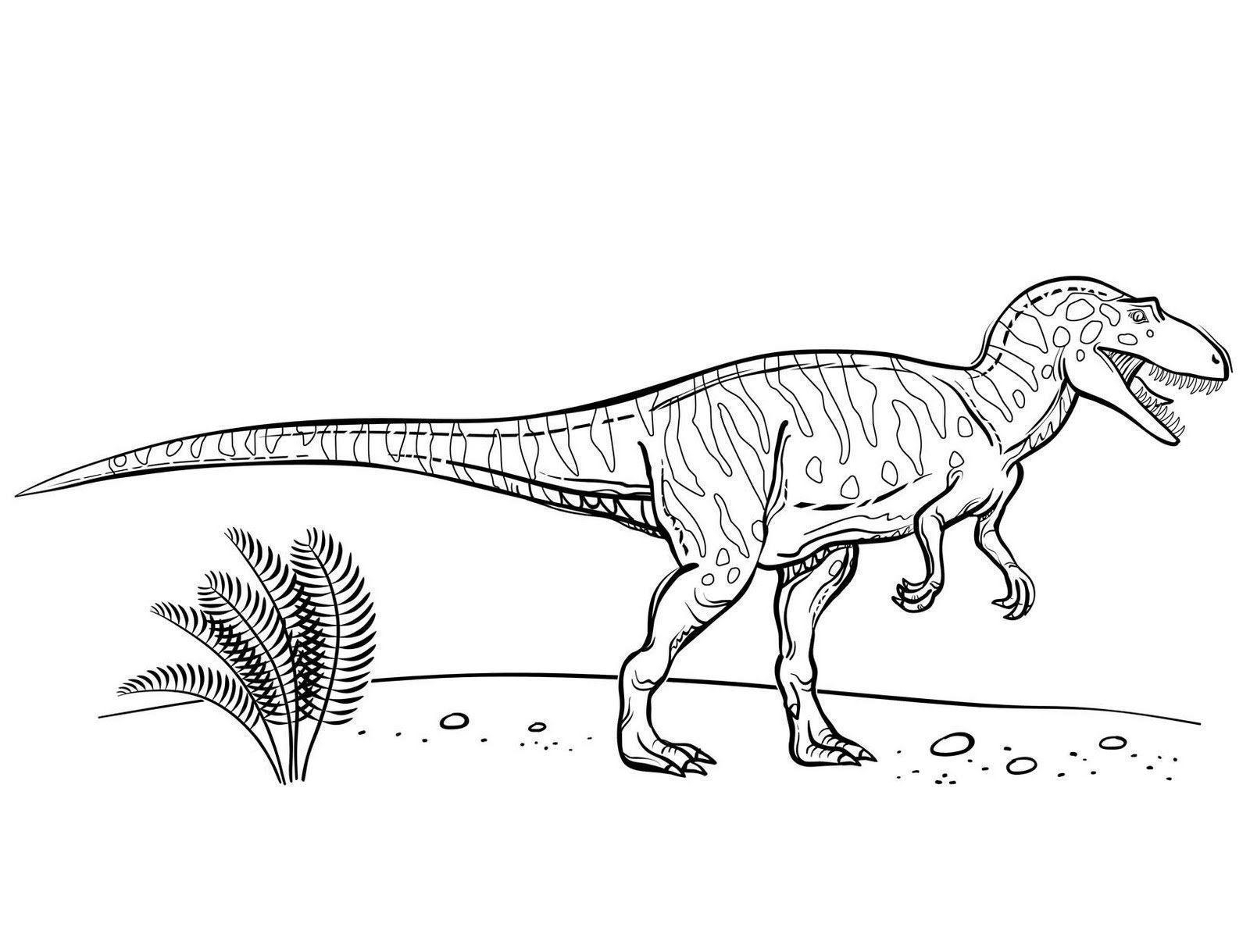 desenho para colorir dinossauros