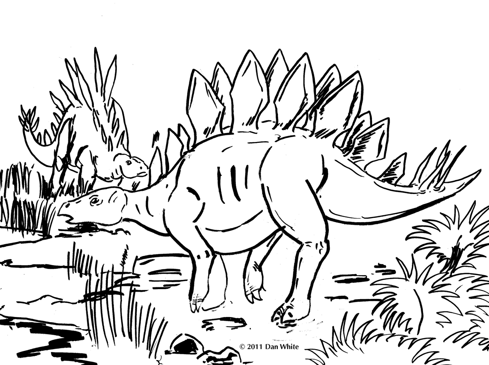 imagens de dinossauros para colorir