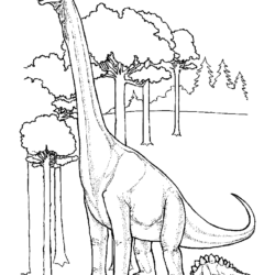 Desenhos de Dinossauros para colorir imprimir e pintar: Tiranossauro Rex,  Brontossauro, Velociraptor, Triceratops, etc - Desenhos para pintar e  colorir