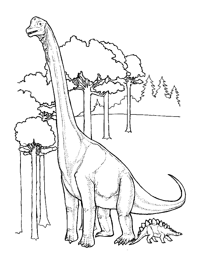 desenhos dinossauros para colorir