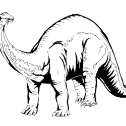 Dinossauros para colorir 249 –  – Desenhos para Colorir