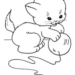 Desenho de Gato realista para colorir