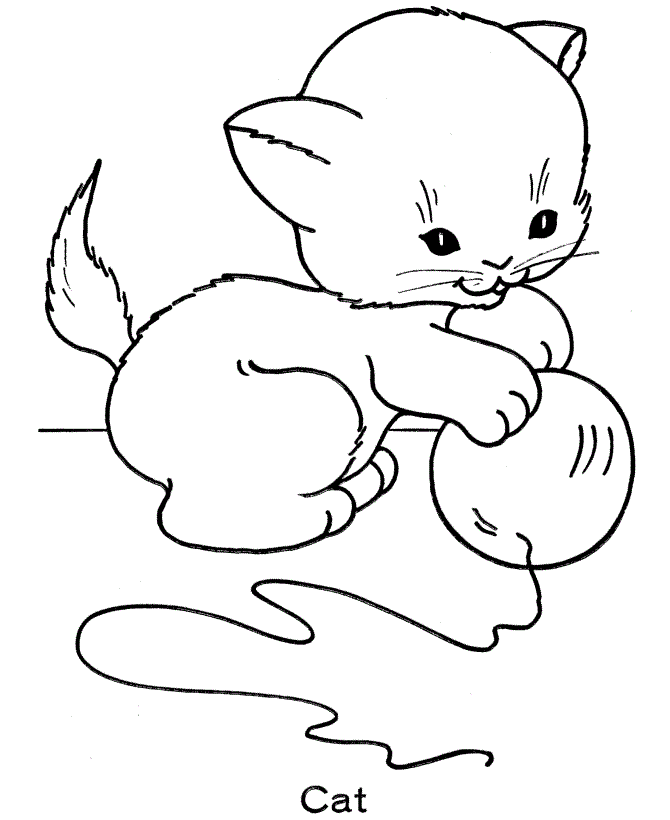 desenho de gato facil