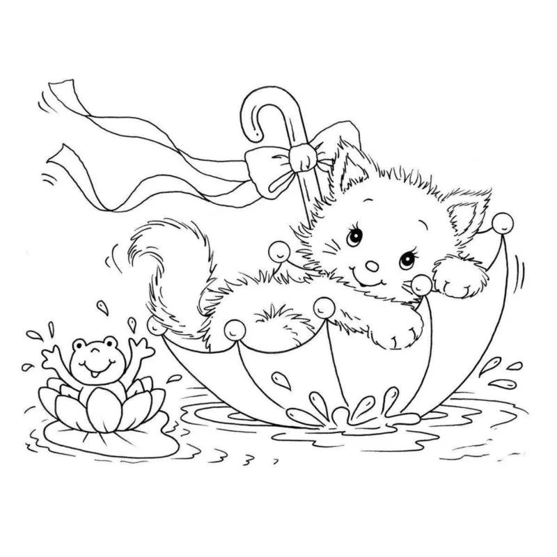 Gato