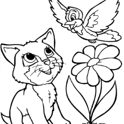 Desenhos de Gato para Colorir, Pintar e Imprimir 