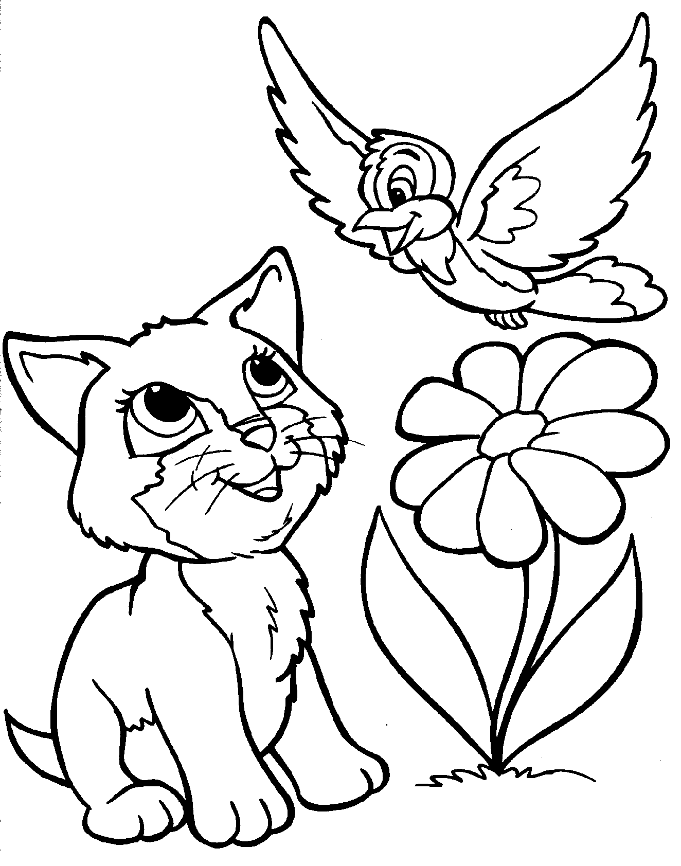 desenho de gatos