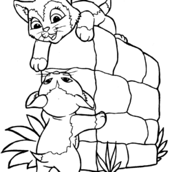 Desenhos para colorir de Gatos para imprimir - Gatos - Coloring