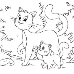 Desenho de Gato para Colorir - Gatinhos Filhotes e Adultos