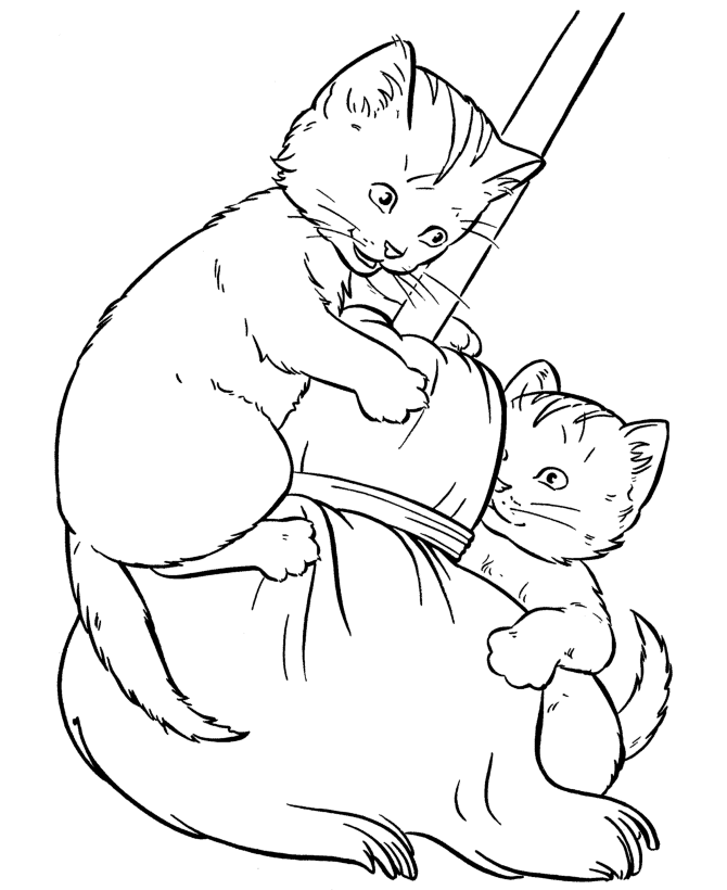 desenho de gato para colorir