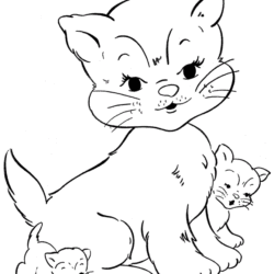 50+ Desenhos de Gatinhos para colorir - Como fazer em casa