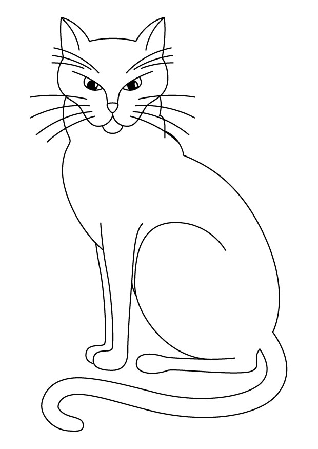 como desenhar um gato fácil