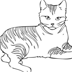 Desenhos de Gatos para Imprimir e Colorir