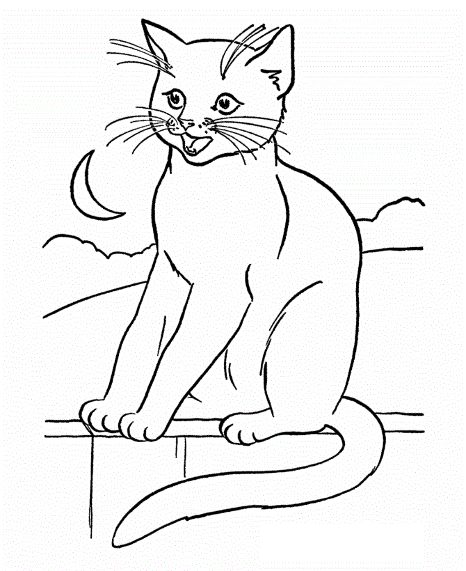 desenho de gatos para colorir