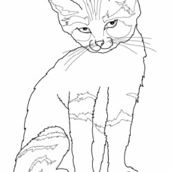 10 Incríveis Desenhos de Gato Realista para Colorir