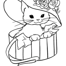 Desenhos para colorir de Gatos para imprimir - Gatos - Coloring