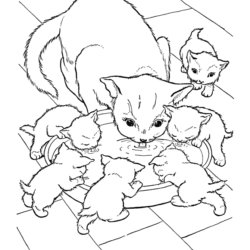 Desenho de Gato a comer para Colorir - Colorir.com