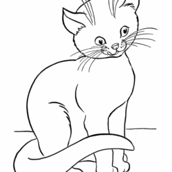 Desenhos de Gatinhos para Colorir - Coletânea de Imagens para Imprimir