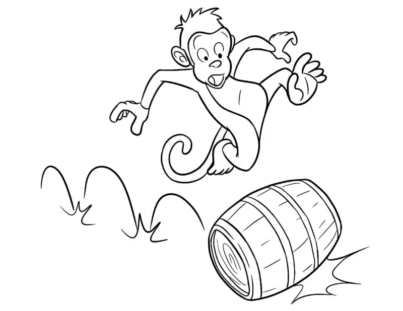 Macacos