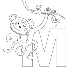 Macacos para imprimir e colorir
